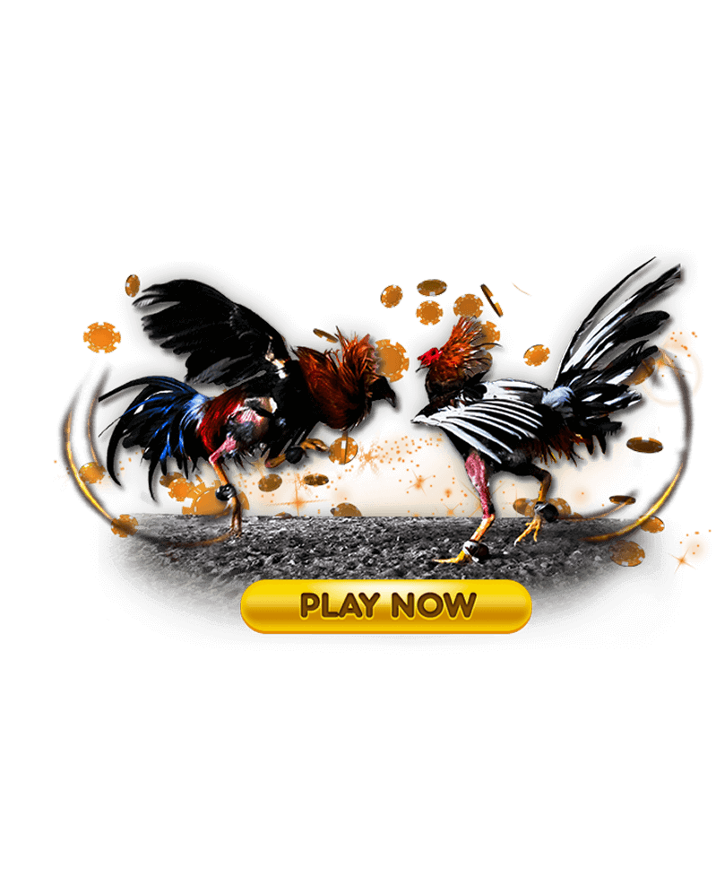 bj66-img-right-text-1